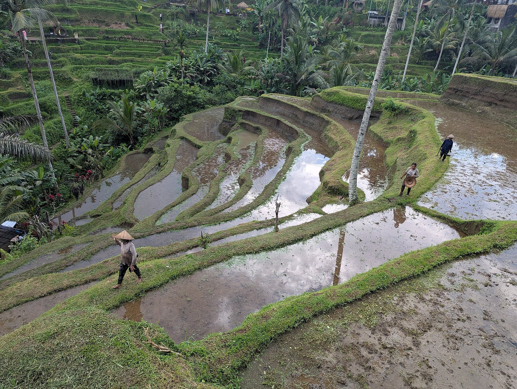 Bali retreat