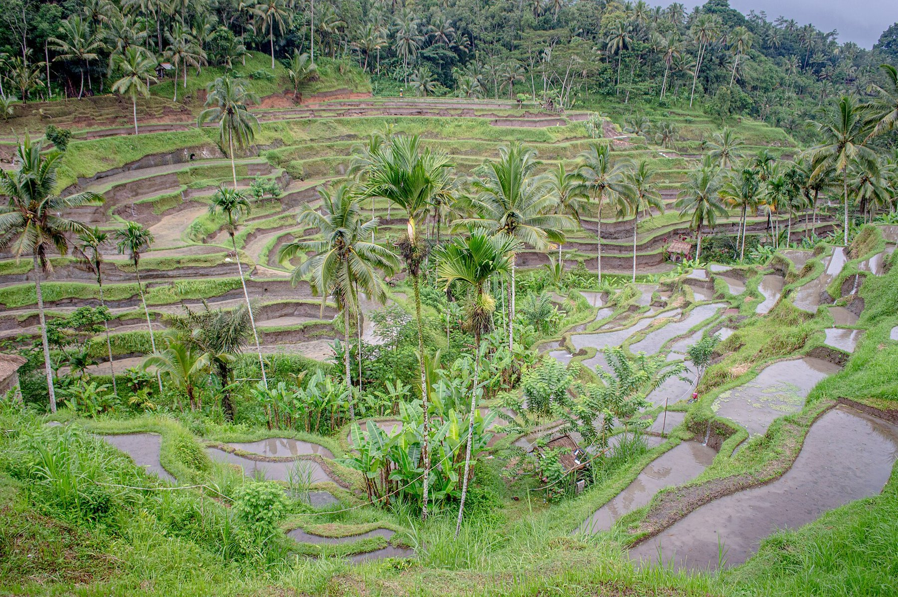 Bali retreat