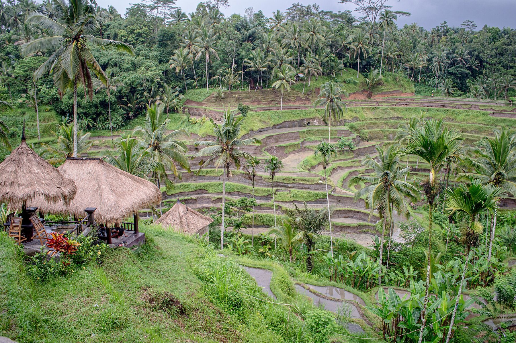 Bali retreat