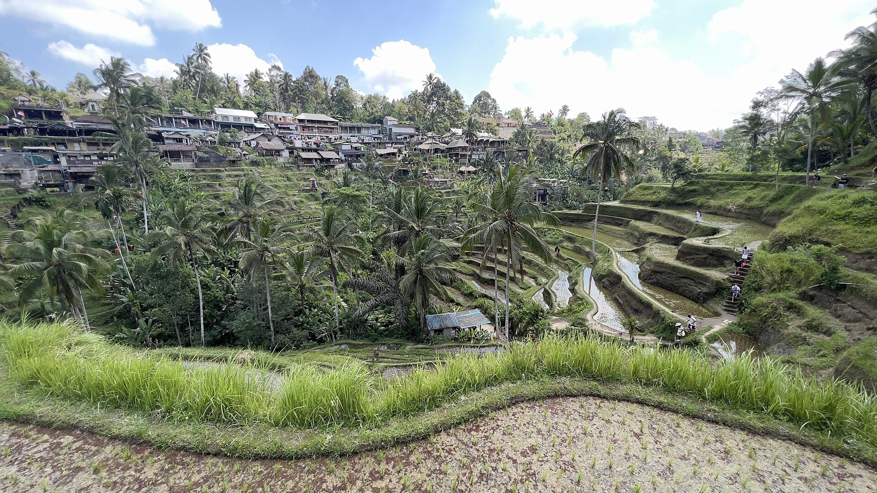 Bali retreat