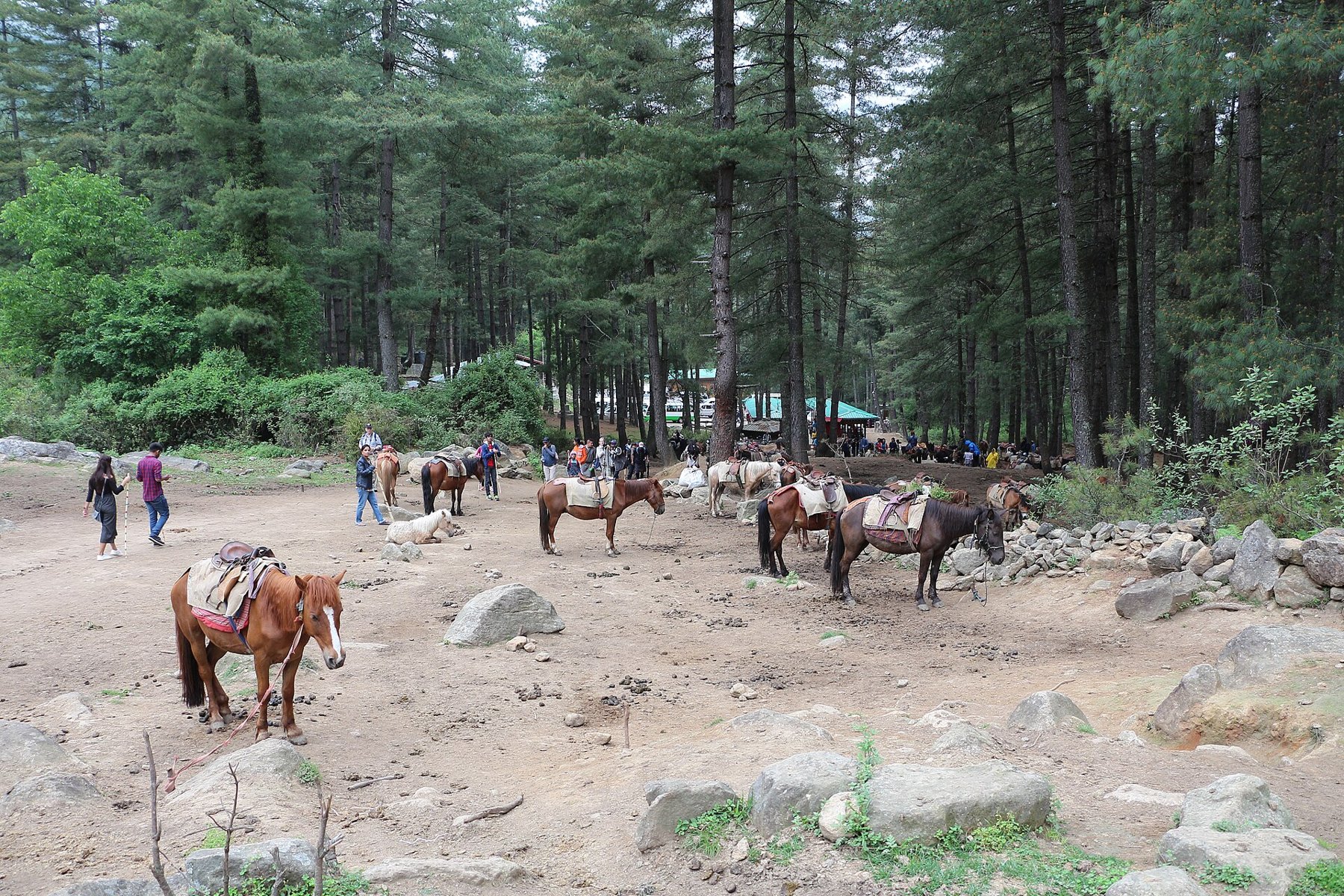 Bhutan retreat