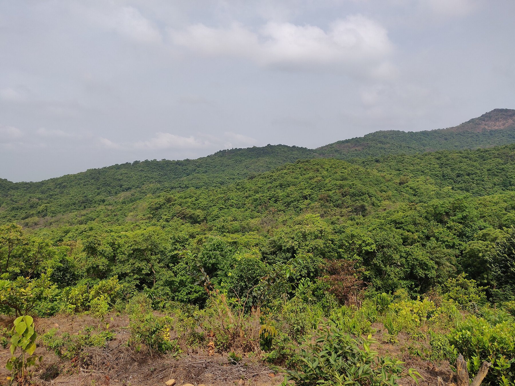 Maharashtra retreat