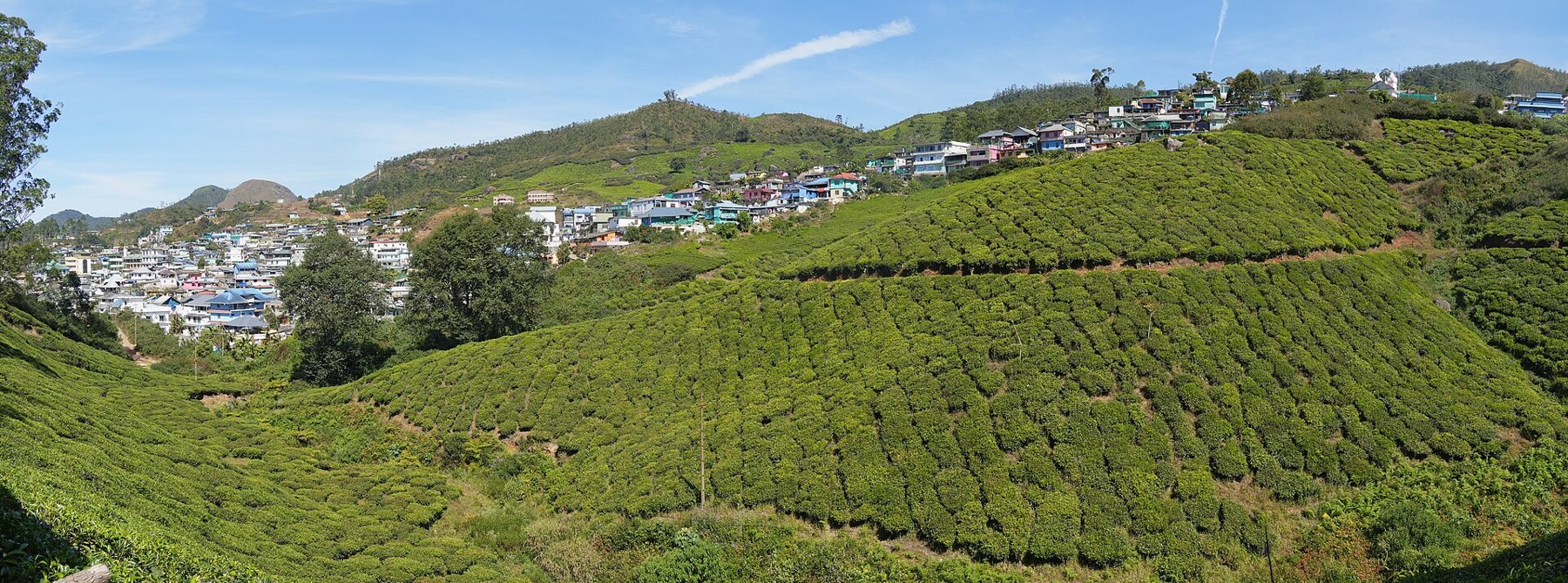 Kerala retreat