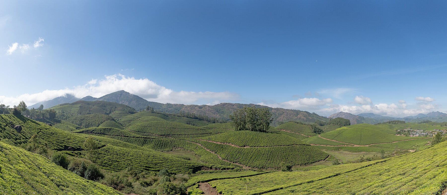 Kerala retreat