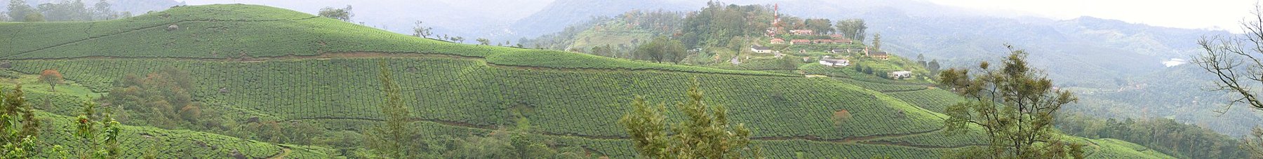 Kerala retreat
