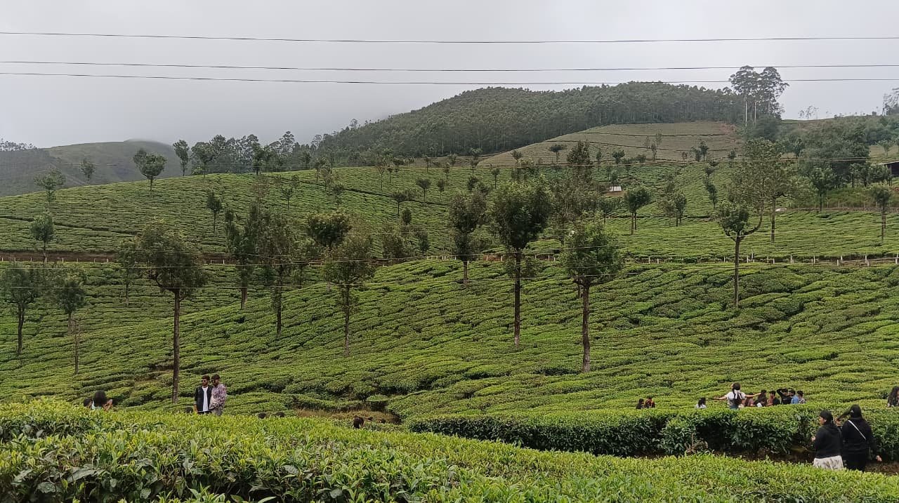 Kerala retreat