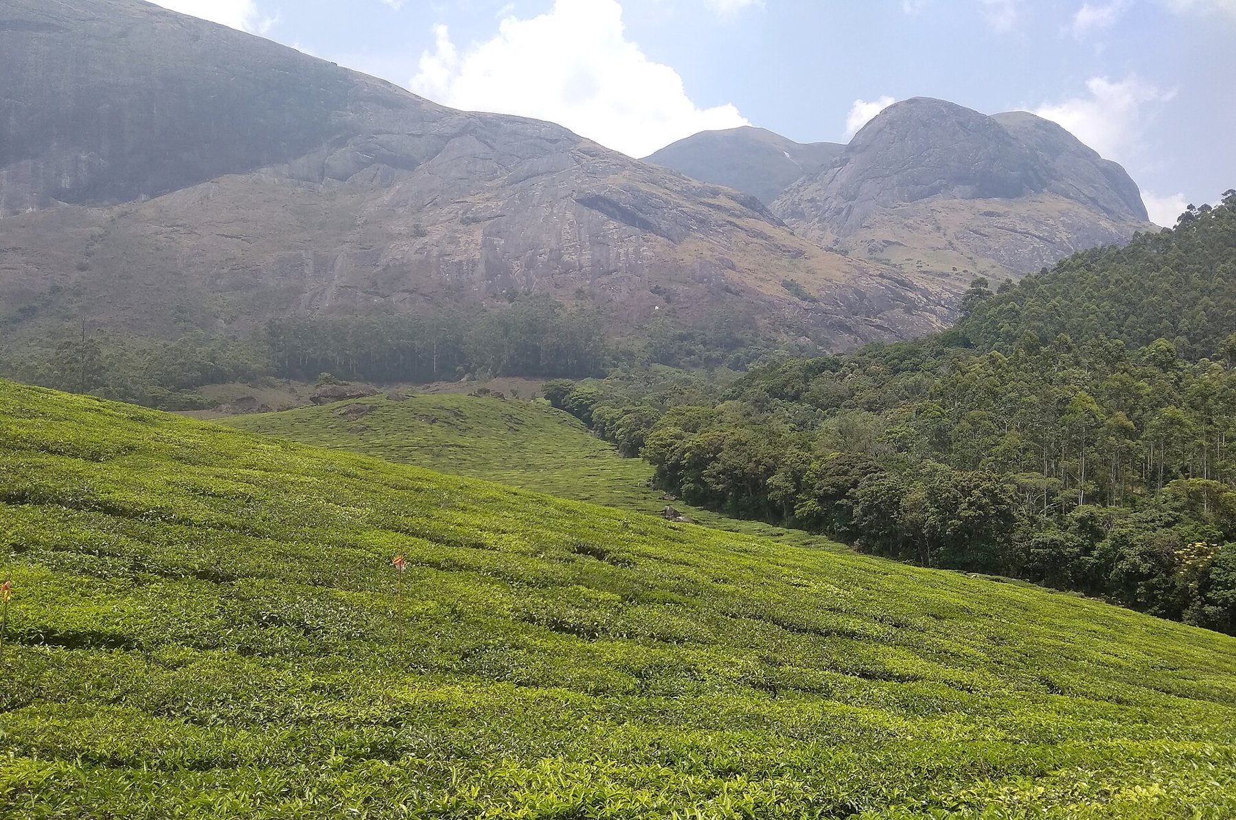 Kerala retreat